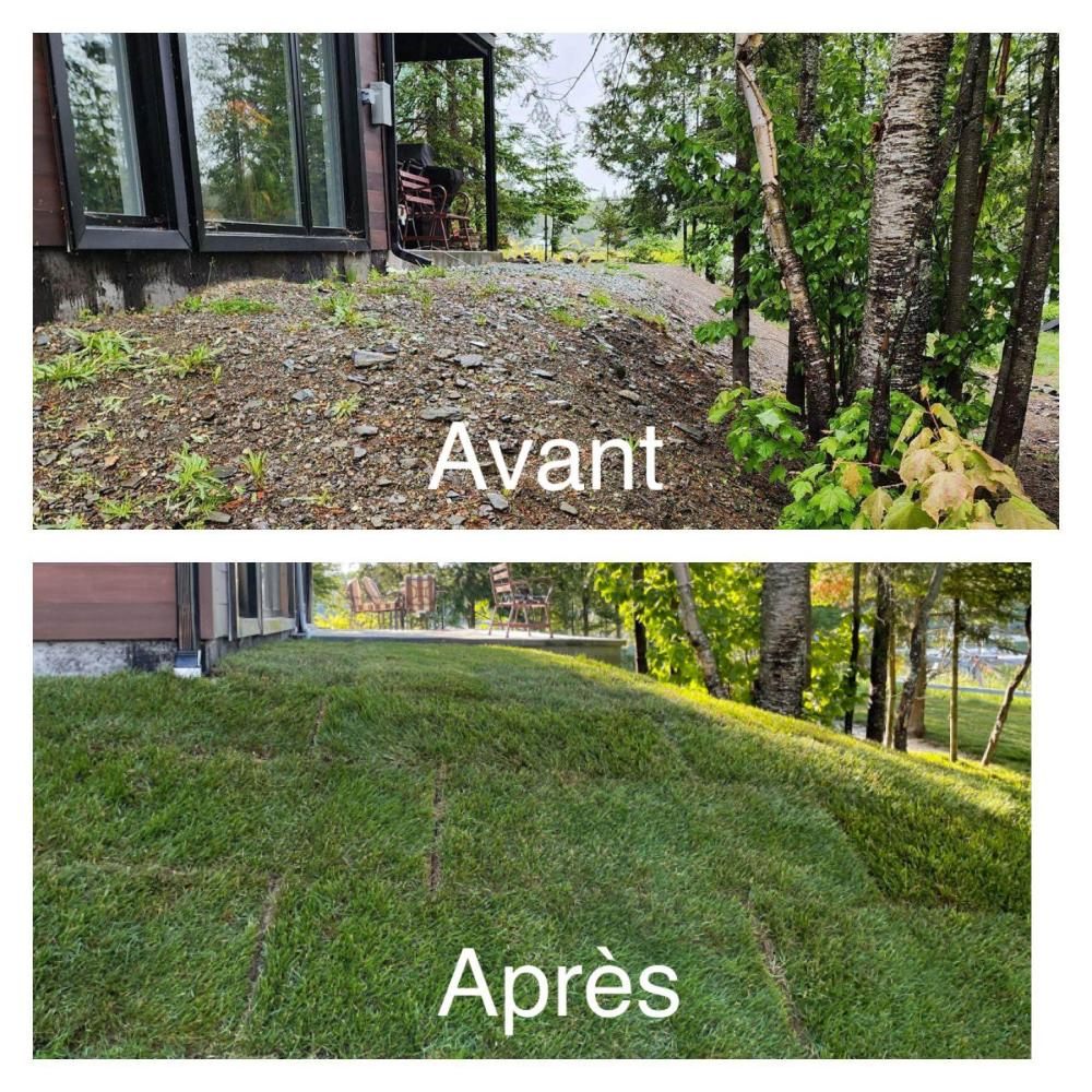 Aménagement paysager (13)